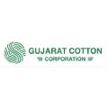 Gujarat Cotton